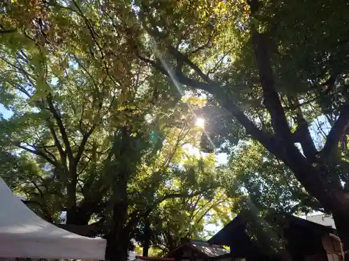 笠䅣稲荷神社(神奈川県)