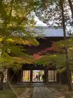 曹源寺の山門・神門