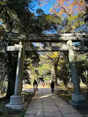 赤坂氷川神社(東京都)