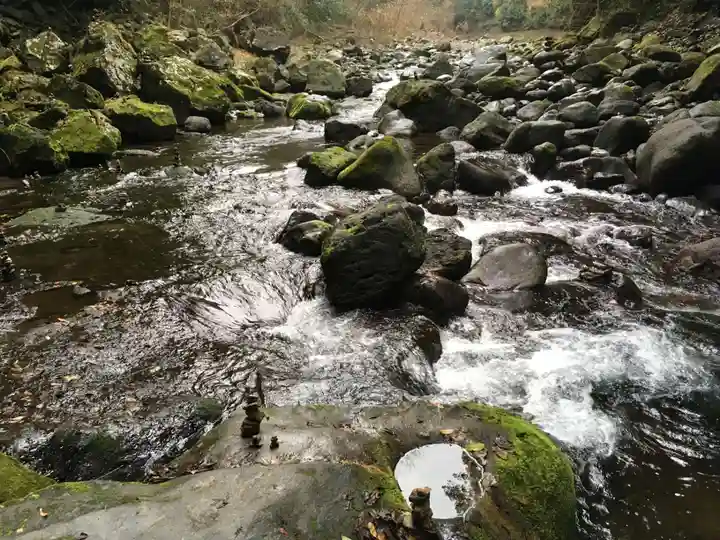 天岩戸神社の自然