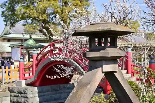 亀戸天神社の庭園