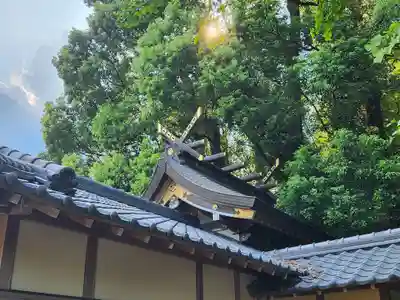 南方神社の本殿・本堂