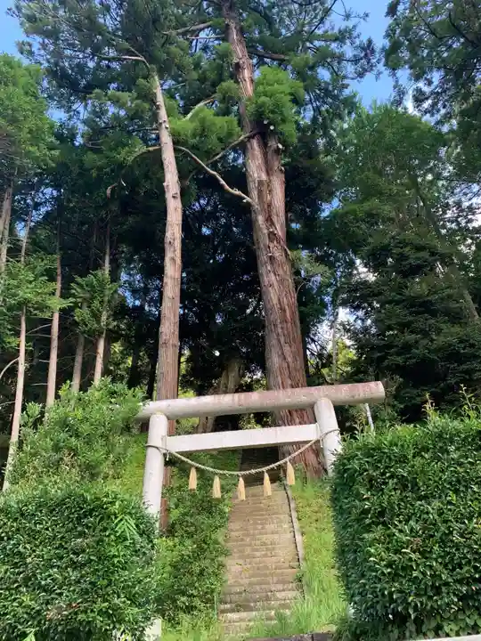 熊野神社(千葉県)