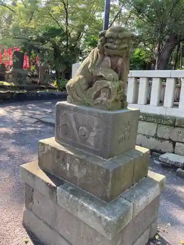 亀岡八幡宮（亀岡八幡神社）の狛犬