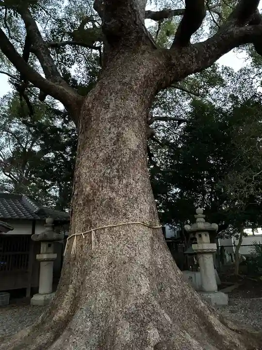 伊久比売神社(和歌山県)