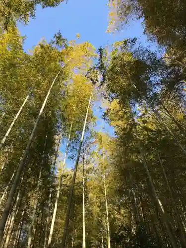 皇産靈神社の自然