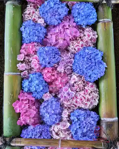 立志神社(滋賀県)