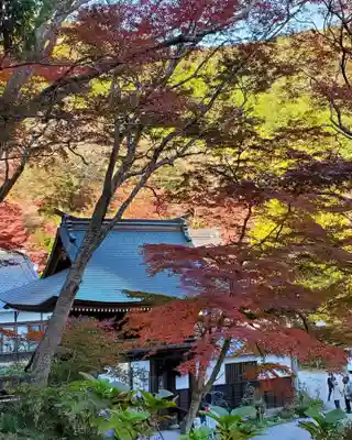 普門寺(切り絵御朱印発祥の寺)のその他建物