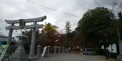 出雲大神宮の鳥居