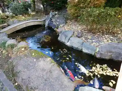 素盞雄神社(東京都)