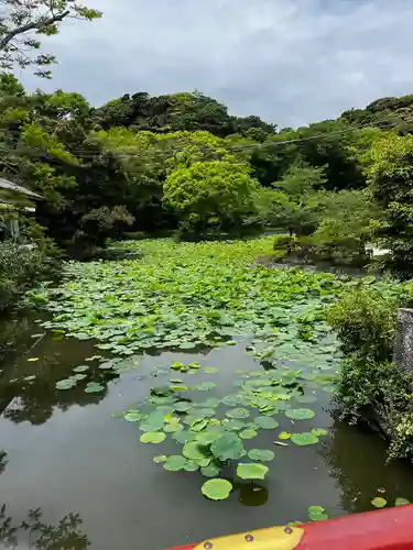 鶴岡八幡宮の庭園