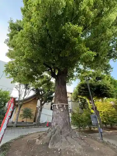 東京羽田 穴守稲荷神社(東京都)