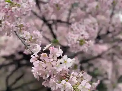 元三島神社(東京都)