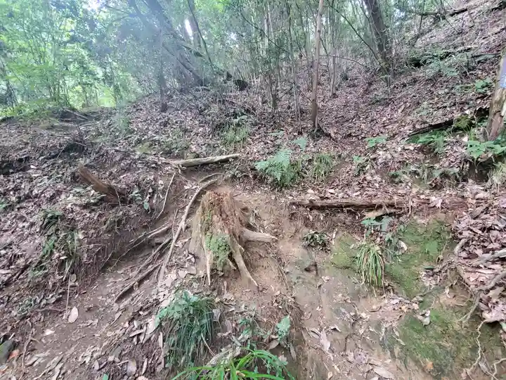 秩父札所三十二番 法性寺の周辺