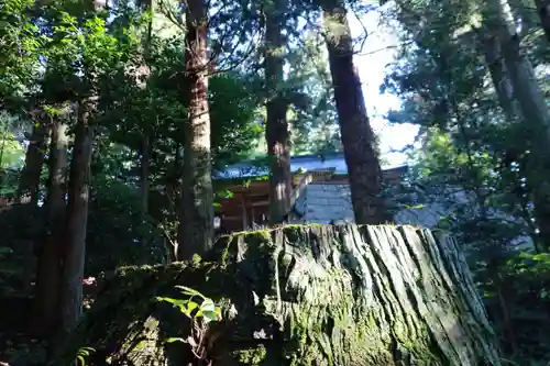 鹿島大神宮の景色