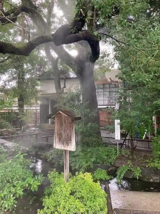 秩父神社の自然
