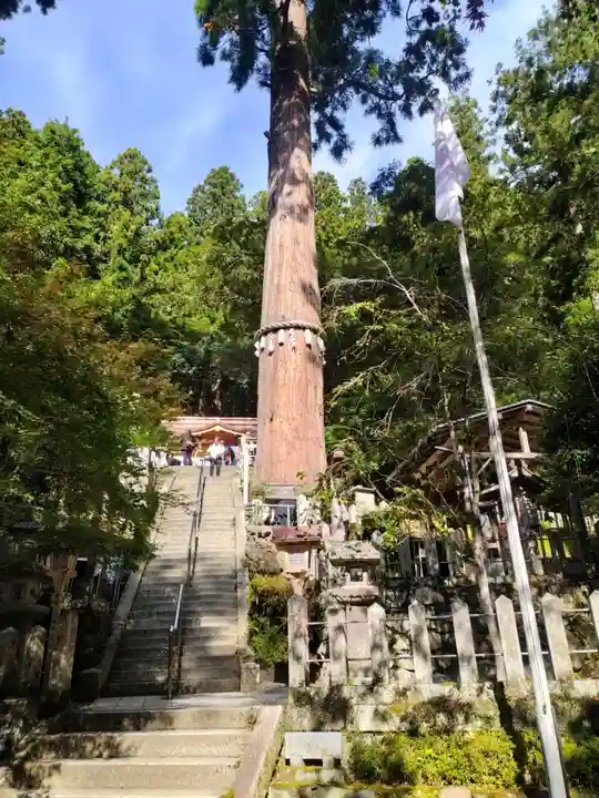 由岐神社(京都府)