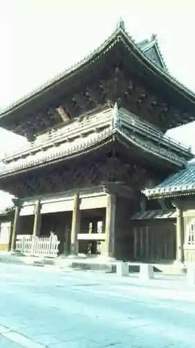 大樹寺（松安院大樹寺）の山門