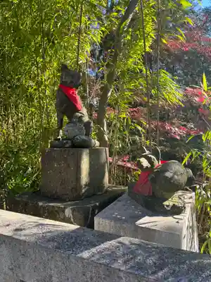 白笹稲荷神社の狛犬