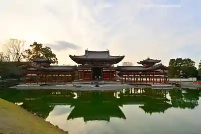 平等院の本殿・本堂