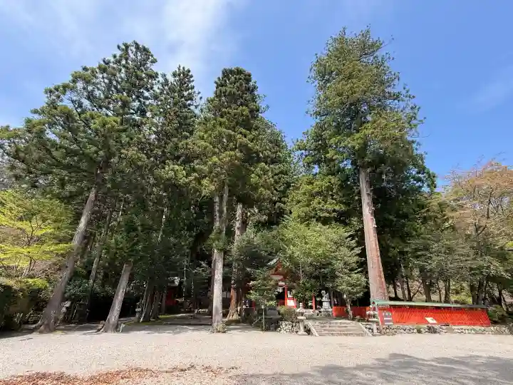 北畠神社の{uncategorized: "未分類", other: "その他", undefined: "問題あり", building: "その他建物", grave: "お墓", sacred_gate: "鳥居", guardian: "狛犬", statue: "像", buddha: "仏像", history: "歴史", nature: "自然", garden: "庭園", animal: "動物", pagoda: "塔", temizu: "手水舎", mountain_gate: "山門・神門", sanctuary: "本殿・本堂", subordinate: "末社・摂社", art: "芸術", scenery: "景色", jizo: "地蔵", ema: "絵馬", goshuin: "御朱印", omikuji: "おみくじ", items: "授与品その他", amulet: "お守り", goshuincho: "御朱印帳", eats: "食事", festival: "お祭り", votive_dance: "神楽", shichigosan: "七五三参", wedding: "結婚式", experience: "体験その他", initially: "初詣", around: "周辺", anti_infection: "感染症対策"}