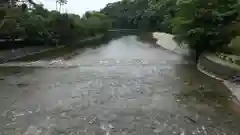 伊勢神宮内宮（皇大神宮）の自然