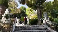 東郷神社(東京都)