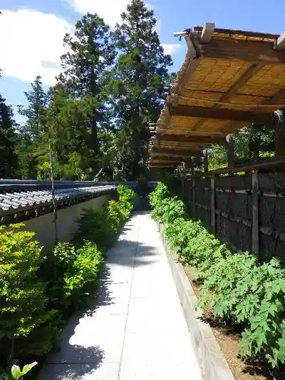 松嶺院の庭園