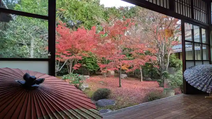 勝林寺(京都府)