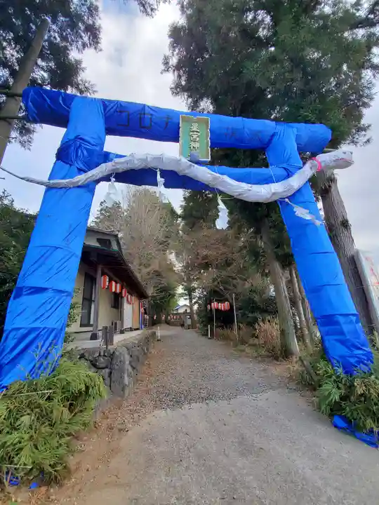 下野 星宮神社の鳥居