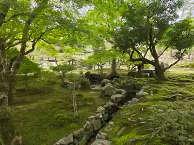 慈照寺（慈照禅寺・銀閣寺）(京都府)