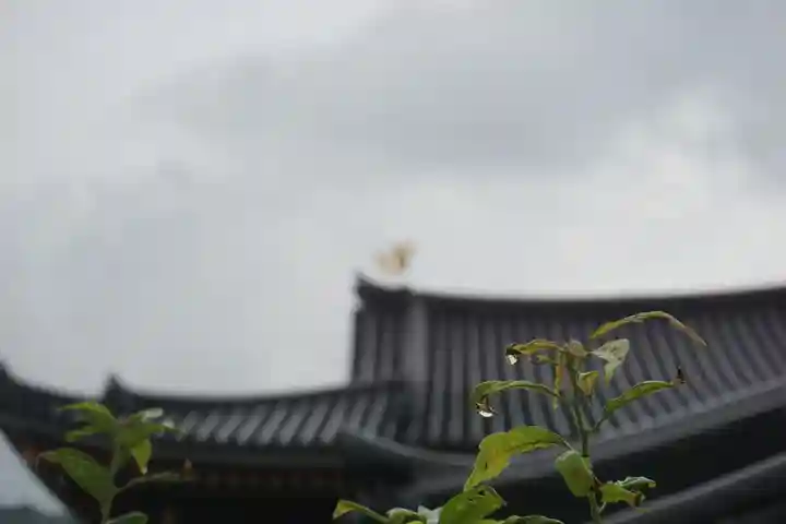 平等院のその他建物
