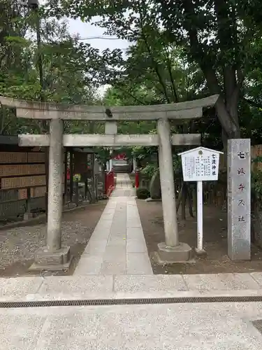 富岡八幡宮の鳥居