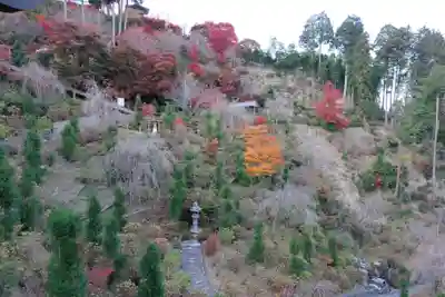 善峯寺(京都府)