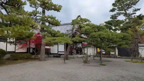 廬山寺（廬山天台講寺）(京都府)