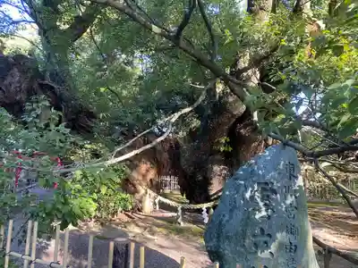 浜松八幡宮(静岡県)