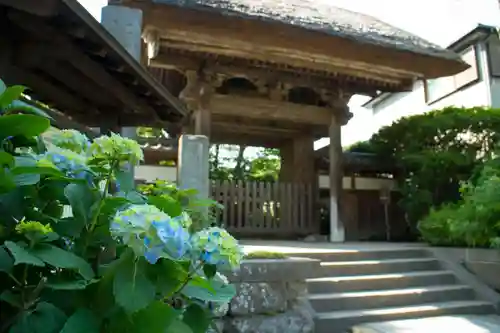 極楽寺（霊鷲山感應院極楽律寺）の山門・神門