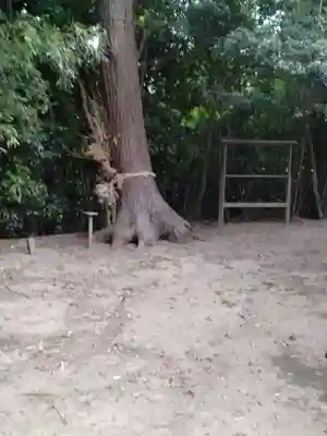 本壽院(宮城県)