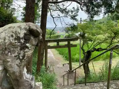 天満神社の鳥居