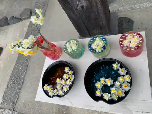 般若寺 ❁﻿コスモス寺❁(奈良県)