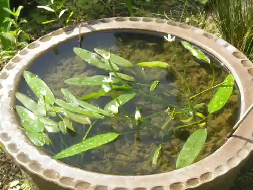 大巧寺のその他建物