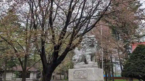 十勝護国神社の狛犬