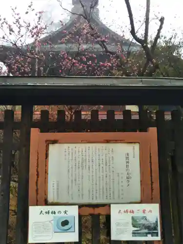 甲斐國一宮 浅間神社の歴史