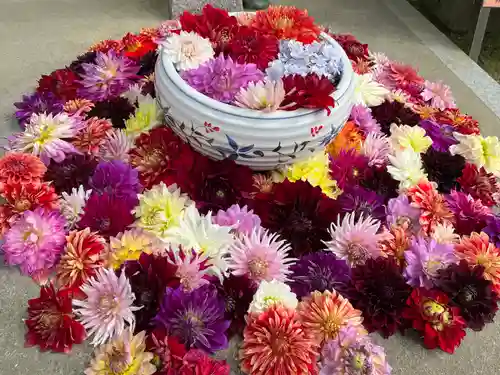 岡寺（龍蓋寺）(奈良県)