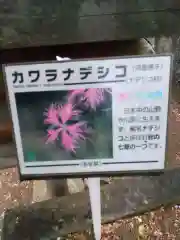 東山神社(埼玉県)