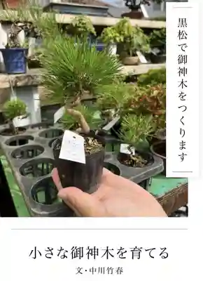 代沢稲荷(東京都)