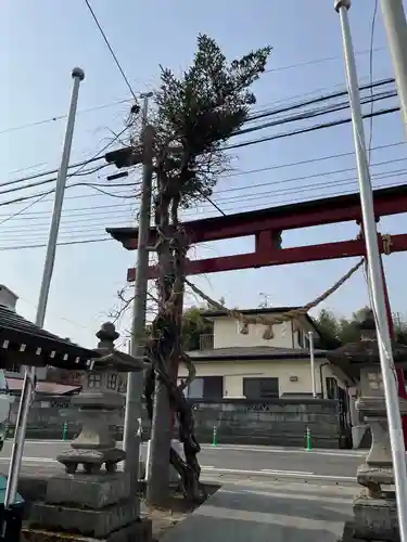 大鏑神社の鳥居