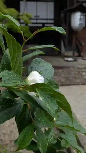 真正極楽寺（真如堂）(京都府)