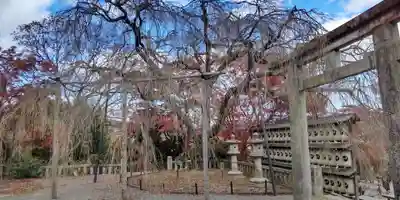 大石神社(京都府)