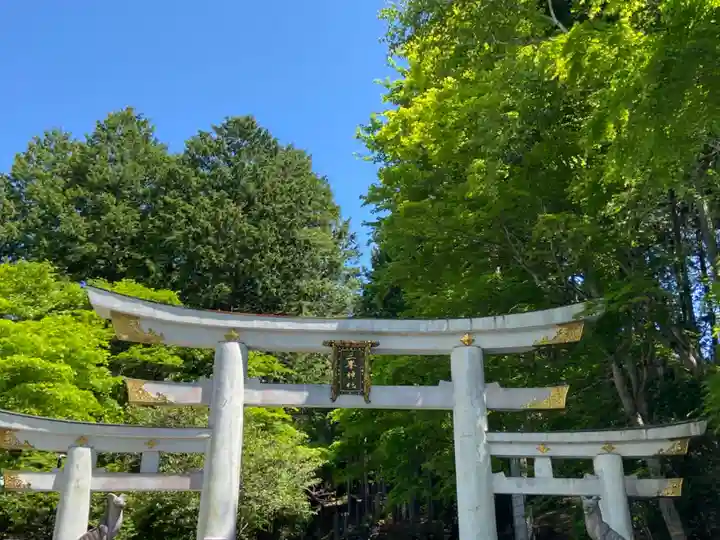 三峯神社(埼玉県)